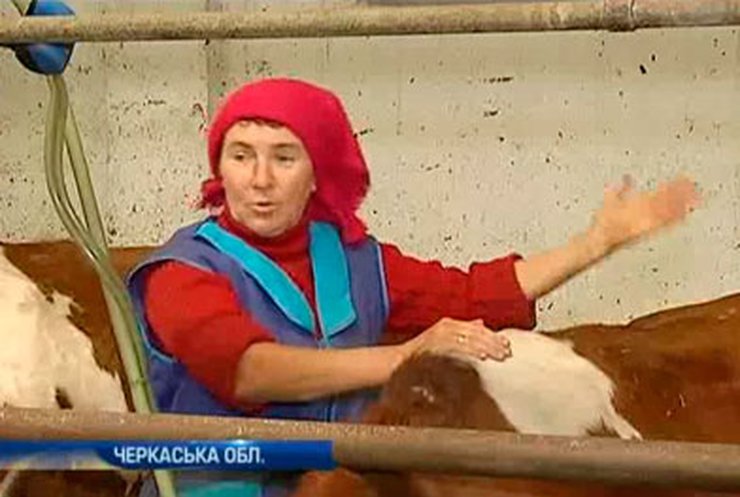 Украинские аграрии боятся зоны свободной торговли с ЕС