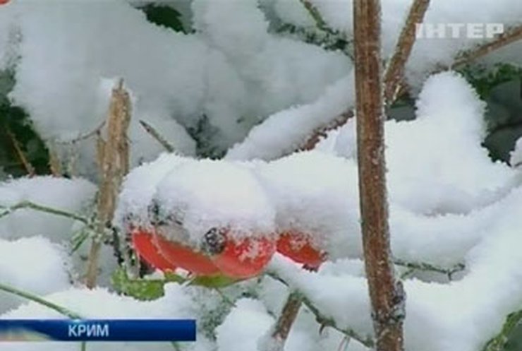 В Крыму сегодня шел снег