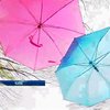 В столице отметили День цветных зонтиков