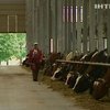 Россия запретила ввоз литовского молока