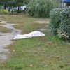 В Харькове возле школы обнаружили труп