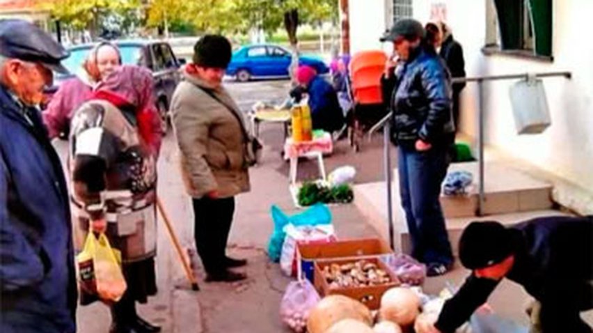 Жители Измаила продают гигантские грибы