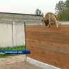 В колонии на Харьковщине показали один день жизни сторожевого пса