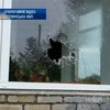 На Волыни пьяный мужчина устроил стрельбу на улицах родного села