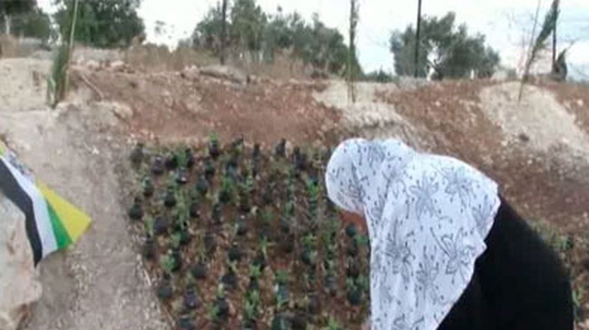 Жительница Палестины разбила цветник на месте гибели сына