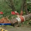 Индия приходит в себя после разрушительного циклона