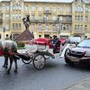 Женщина на "Лексусе" с "депутатскими" номерами протаранила конную повозку