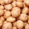 В Беларуси заканчивается картофель