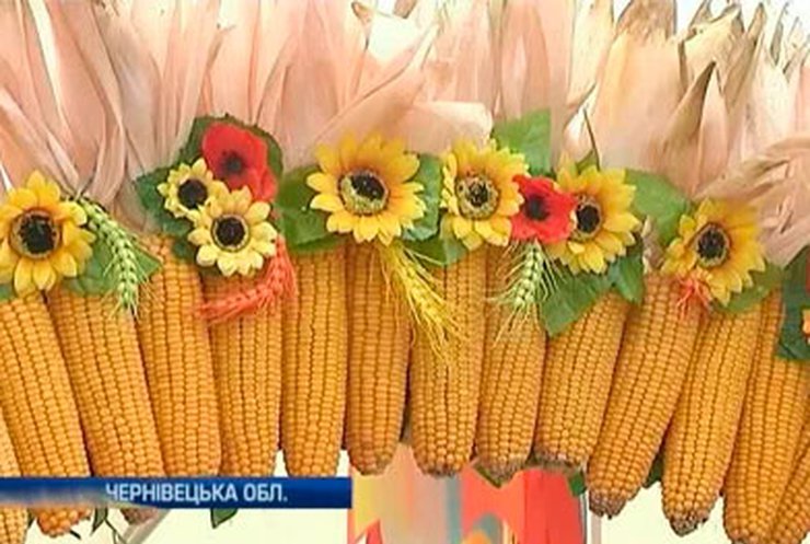 На Буковине провели фестиваль кукурузы