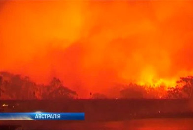 Тысячи австралийцев спасаются от лесных пожаров