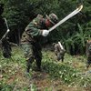 Офицер в Боливии был убит при уничтожении посевов коки