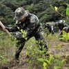В Боливии офицера убили во время уничтожении посевов коки