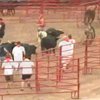 В штате Джорджия устроили забег с быками
