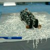 Дизайнеры из США создали экологичный костюм для умерших