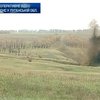 На Луганщине обезвредили почти сотню снарядов времен ВОВ