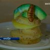 В Париже открылся ресторан, где готовят блюда из насекомых