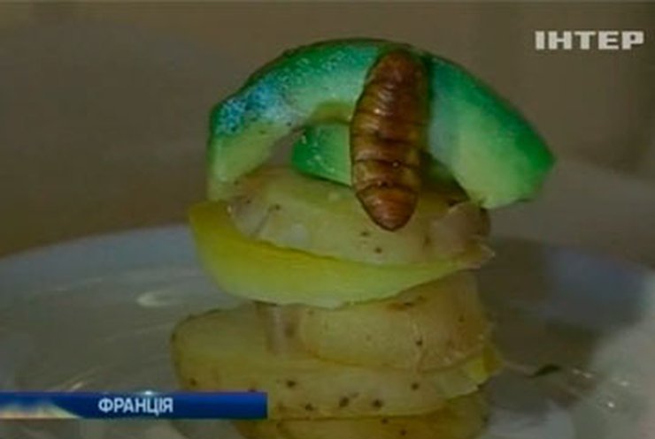 В Париже открылся ресторан, где готовят блюда из насекомых