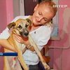 Волонтеры просят о помощи для подстреленного догхантерами пса