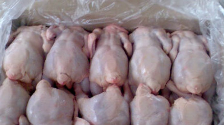 Украина начала экспорт курятины в Евросоюз