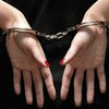 МИД подтвердил, что задержанная в Италии по подозрению в киднеппинге спортсменка - украинка
