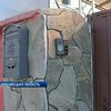В Черновицкой области бизнесмен поселил рысь во дворе