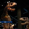 Открыт динозавр, который был главным хищником древнего мира