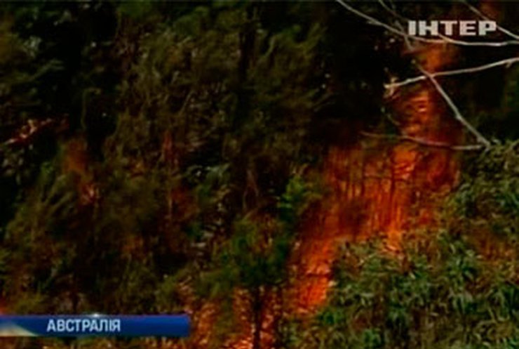 В пригороде Сиднея снова пылают лесные пожары