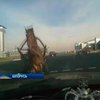 ДТП в Беларуси: Лошадь протаранила легковушку