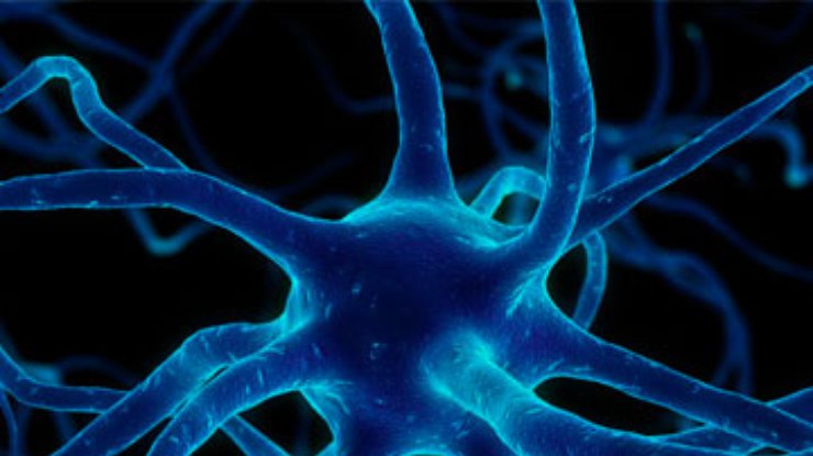 Американские ученые расшифровали геном одиночного нейрона