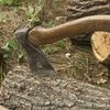 15-летний сумчанин зарубил знакомого, заставившего копать огород