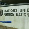Сегодня в Женеве выслушали доклад о коррупции в Украине