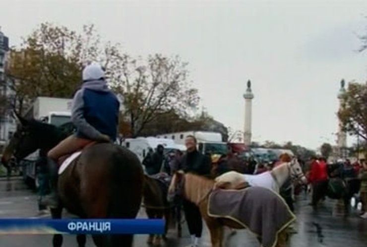 В Париже любители верховой езды протестуют против налогов