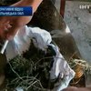 Хмельницкая милиция задержала наркоторговца