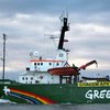 В Петербурге решили отпустить под залог российского активиста Greenpeace