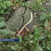 Изнасилование на Буковине: Пострадавшая на краю жизни и смерти