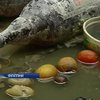 Филиппины оправляются от "тайфуна века"