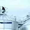В норвежской армии ввели вегетарианский день