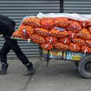 Грузия после семилетнего перерыва возобновила поставки фруктов в Россию