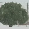 Снежная буря на западе США стала причиной гибели 13 людей