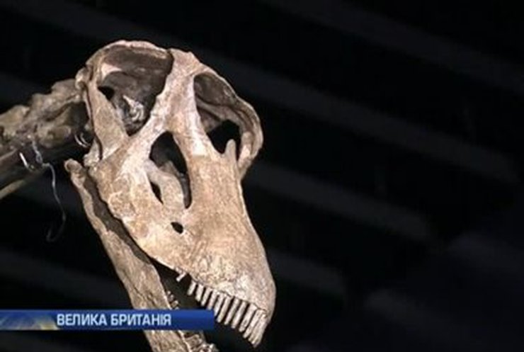 В Британии проходит выставка скелета гигантского динозавра