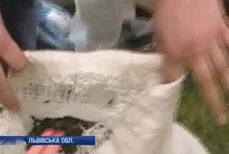 На Львовщине задержали пенсионерку, торговавшую марихуаной