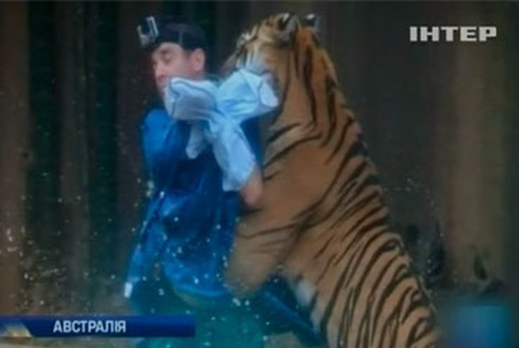 В австралийском зоопарке на дрессировщика напал тигр