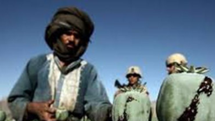 Афганистан не может самостоятельно решить проблему производства наркотиков, - ООН
