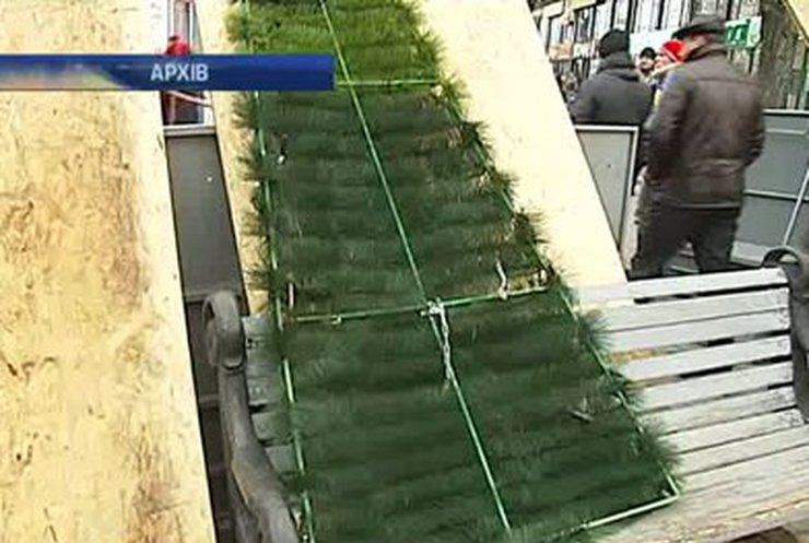 В Киеве ищут место для установки новой новогодней елки