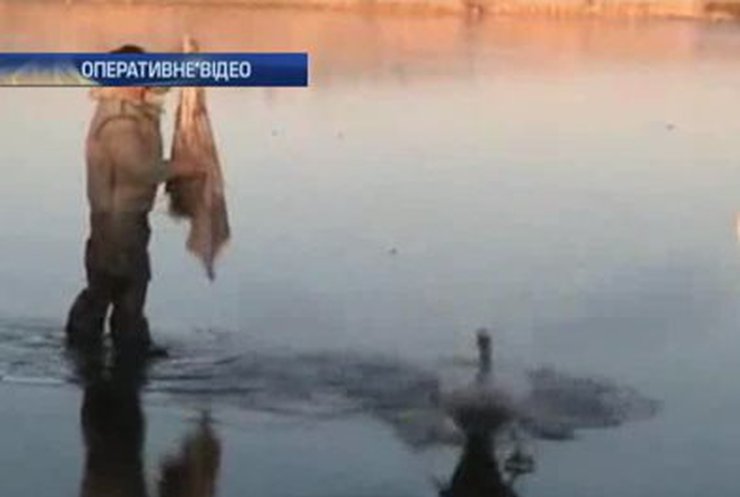 В Одессе от холода спасли пару лебедей