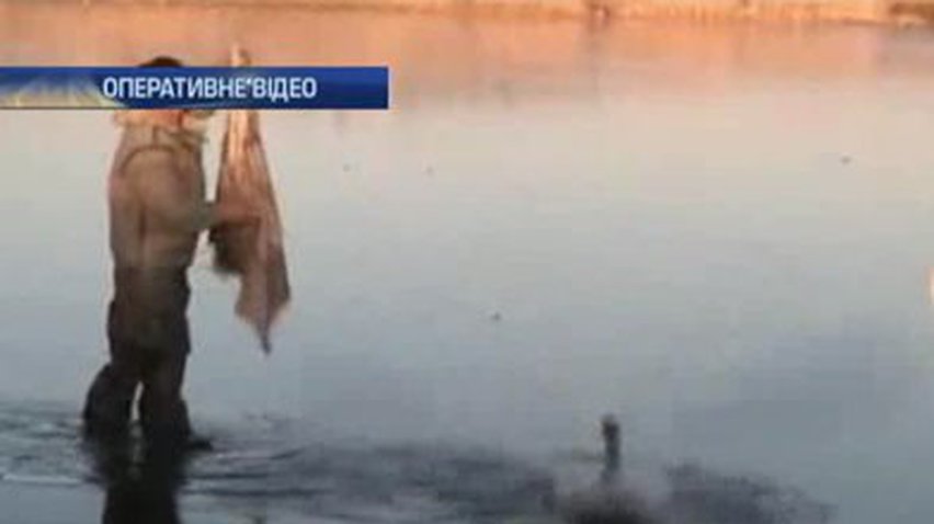 В Одессе от холода спасли пару лебедей
