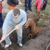 В Запорожской области из колодца вытащили лошадь