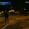 В Херсоне ветер повалил деревья на дорогу