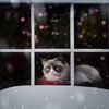 Самые знаменитые кошки интернета снялись в рождественском клипе