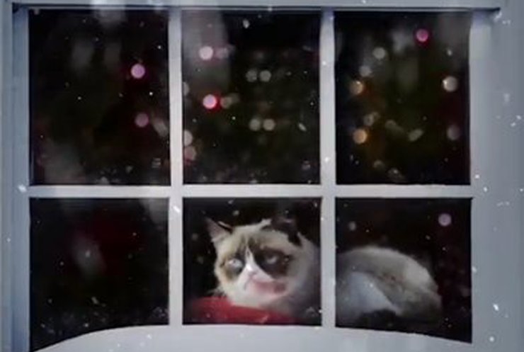 Самые знаменитые кошки интернета снялись в рождественском клипе